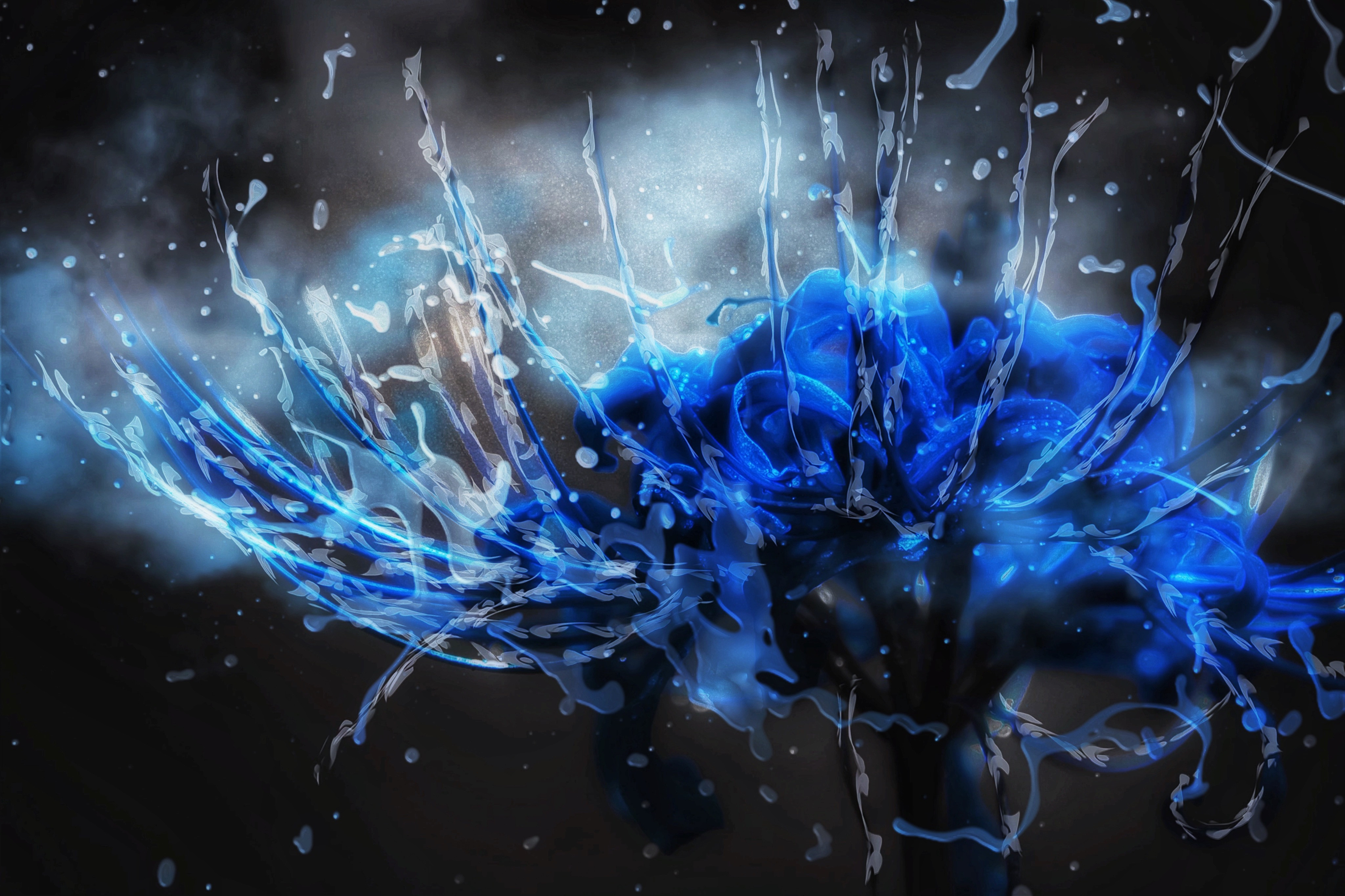 m-a-d-s-art-gallery-artwork-the-blue-spider-lily-that-i-saw-that-day